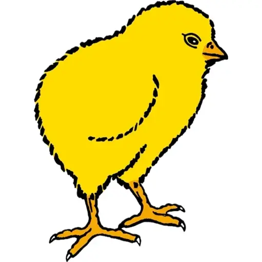 Wüthrich Brüterei AG