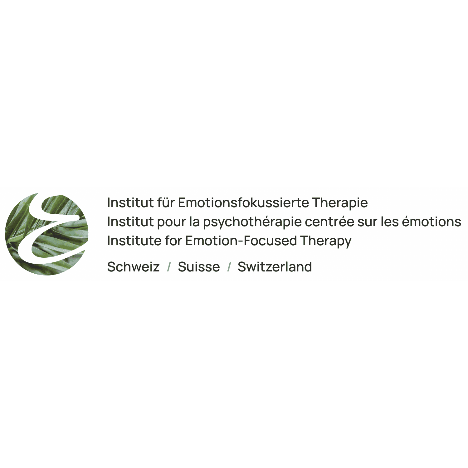 Institut für Emotionsfokussierte Therapie Schweiz (IEFT Schweiz) AG