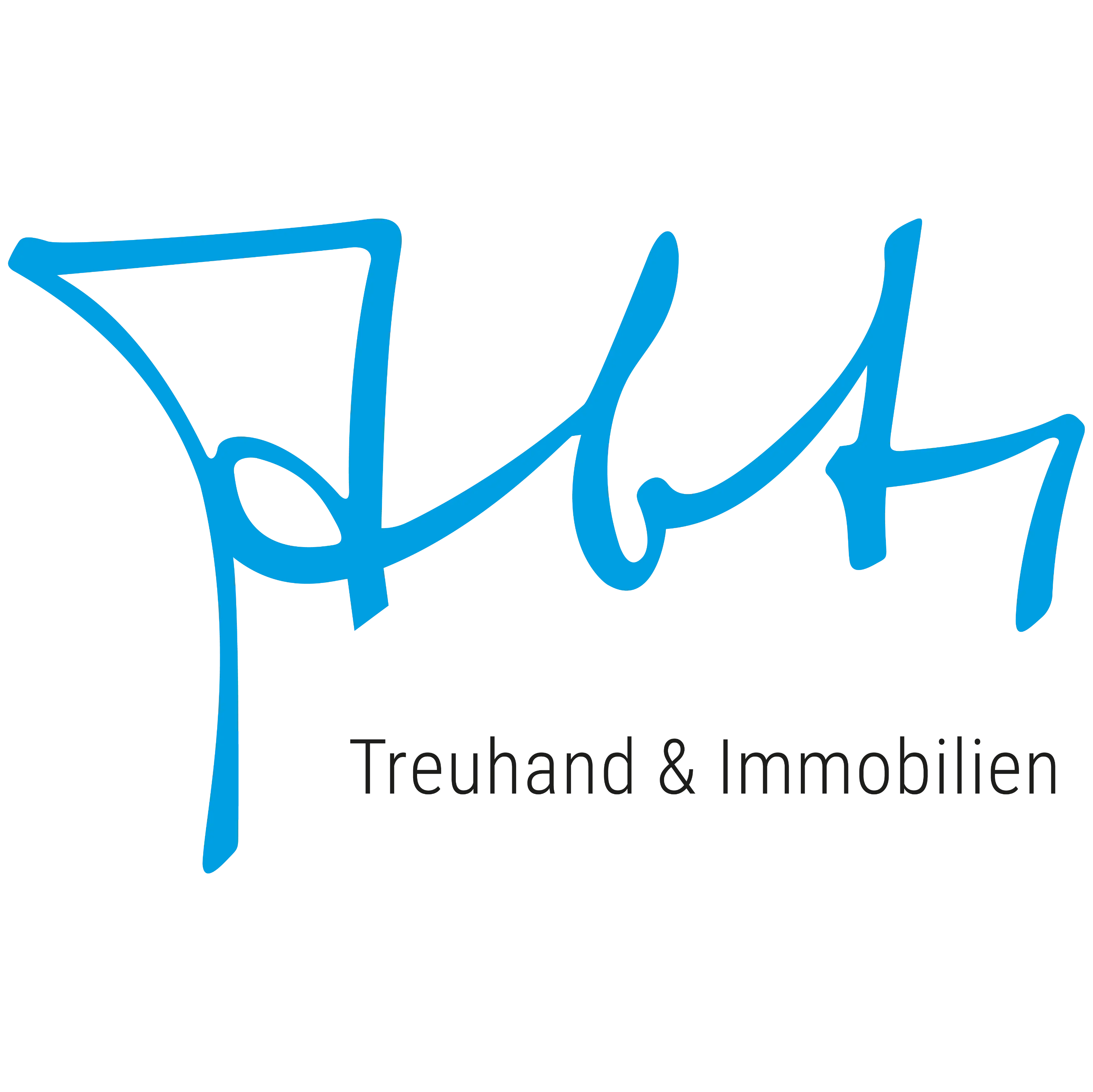 Treuhand & Immobilien Abt AG