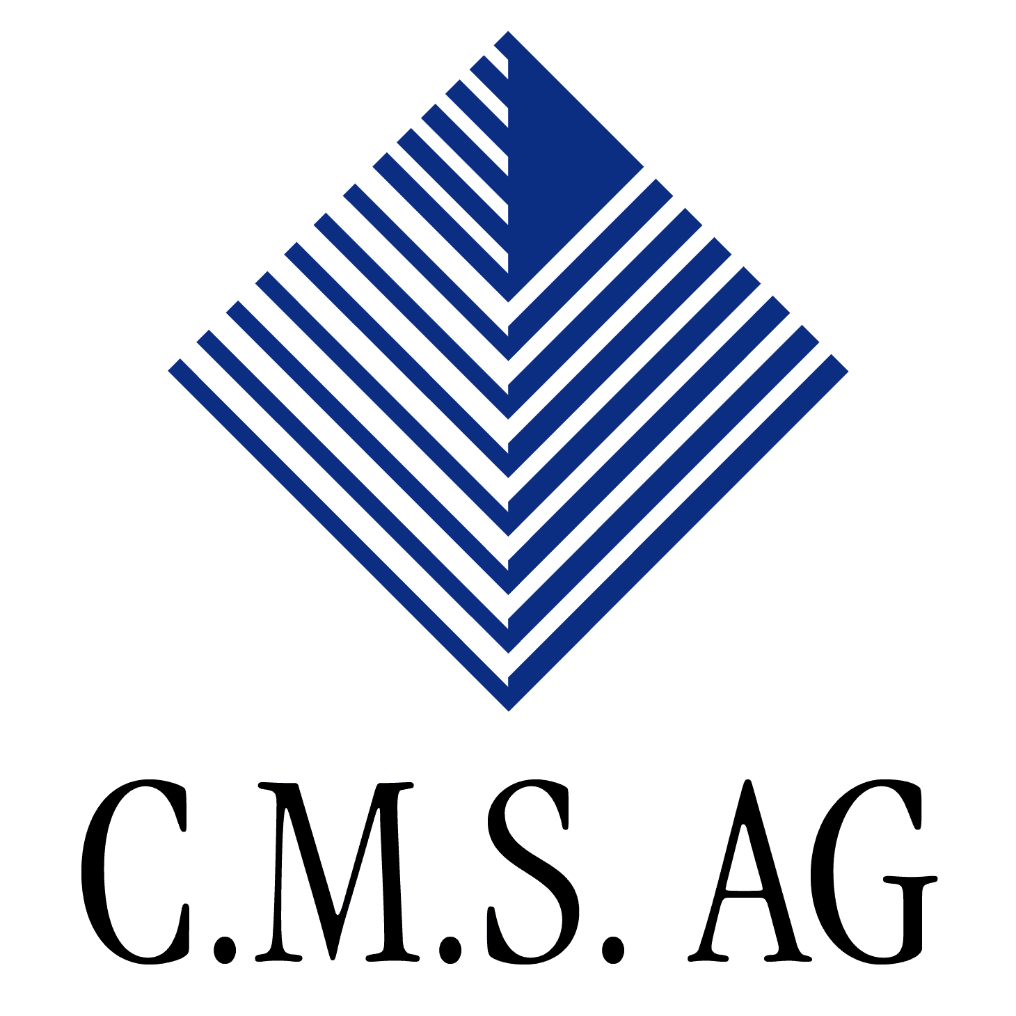 Corporate Management Selection C.M.S. AG