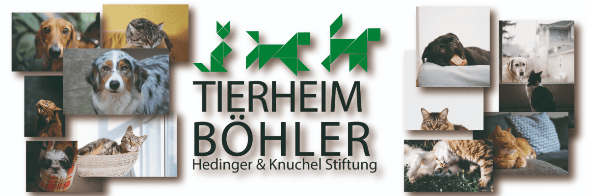 Arbeiten bei Hedinger-Knuchel-Stiftung