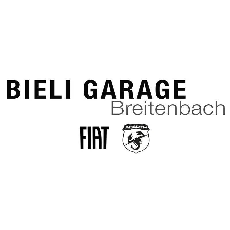 Automobil-Mechatroniker /-Fachmann -/Diagnostiker