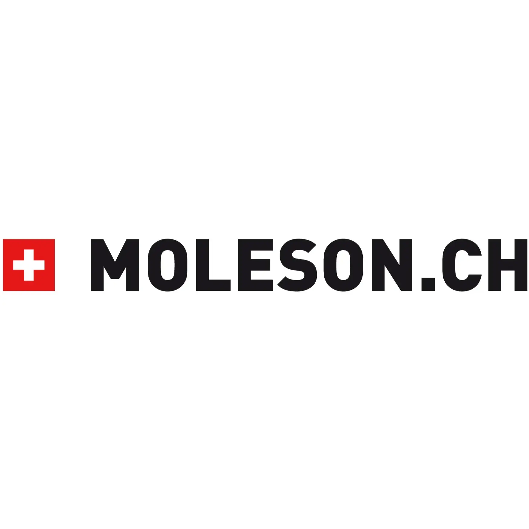 Centre Touristique Gruyères-Moléson-Vudalla S.A.