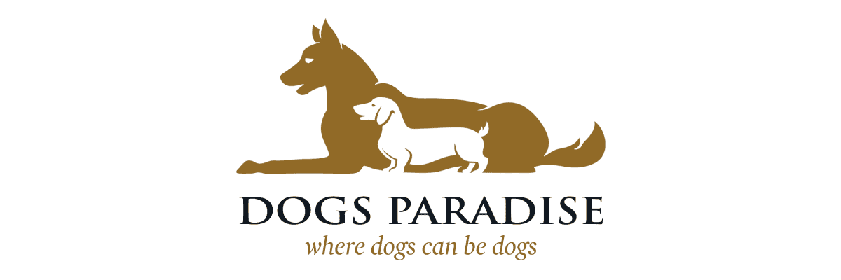 Work at Dogs Paradise Sàrl