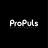 ProPuls Projektagentur GmbH