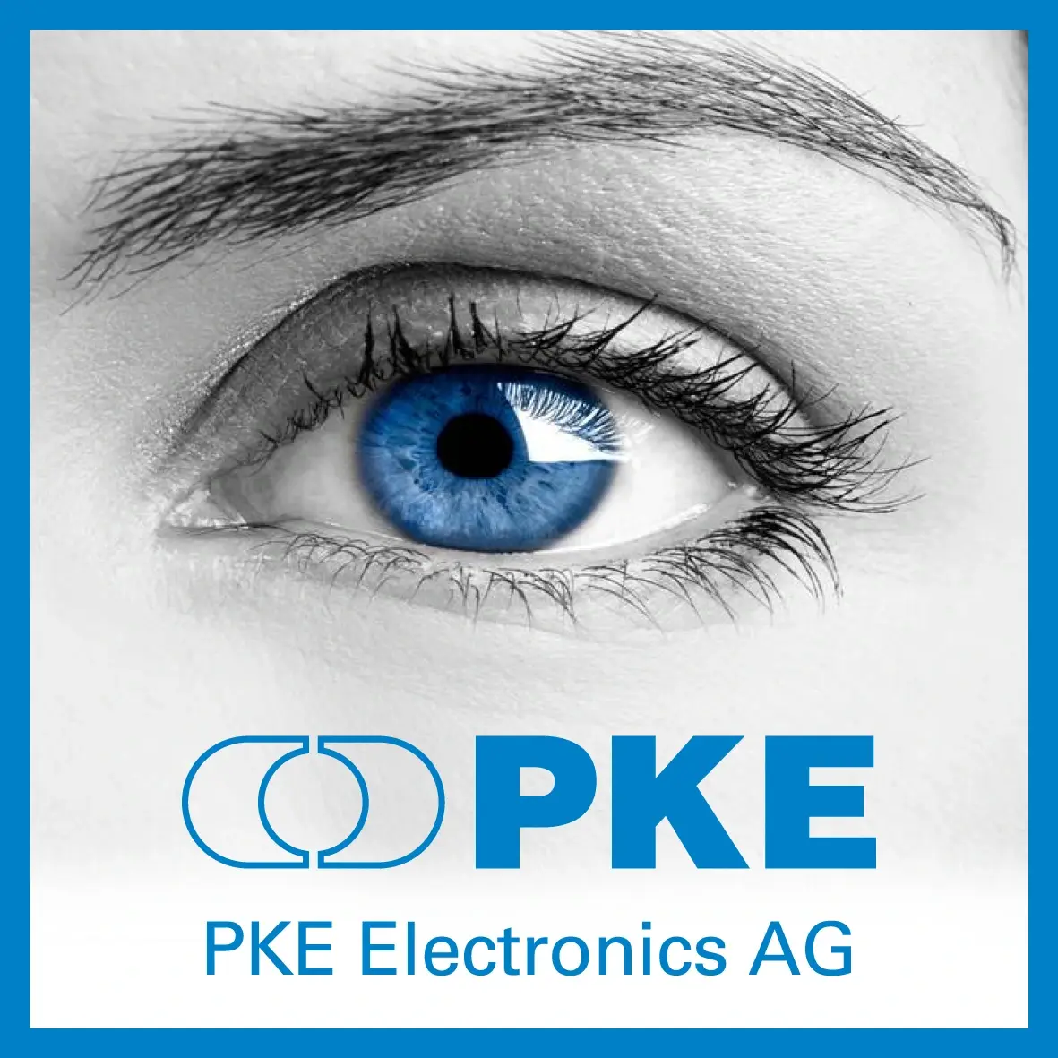 Logo PKE Electronics AG