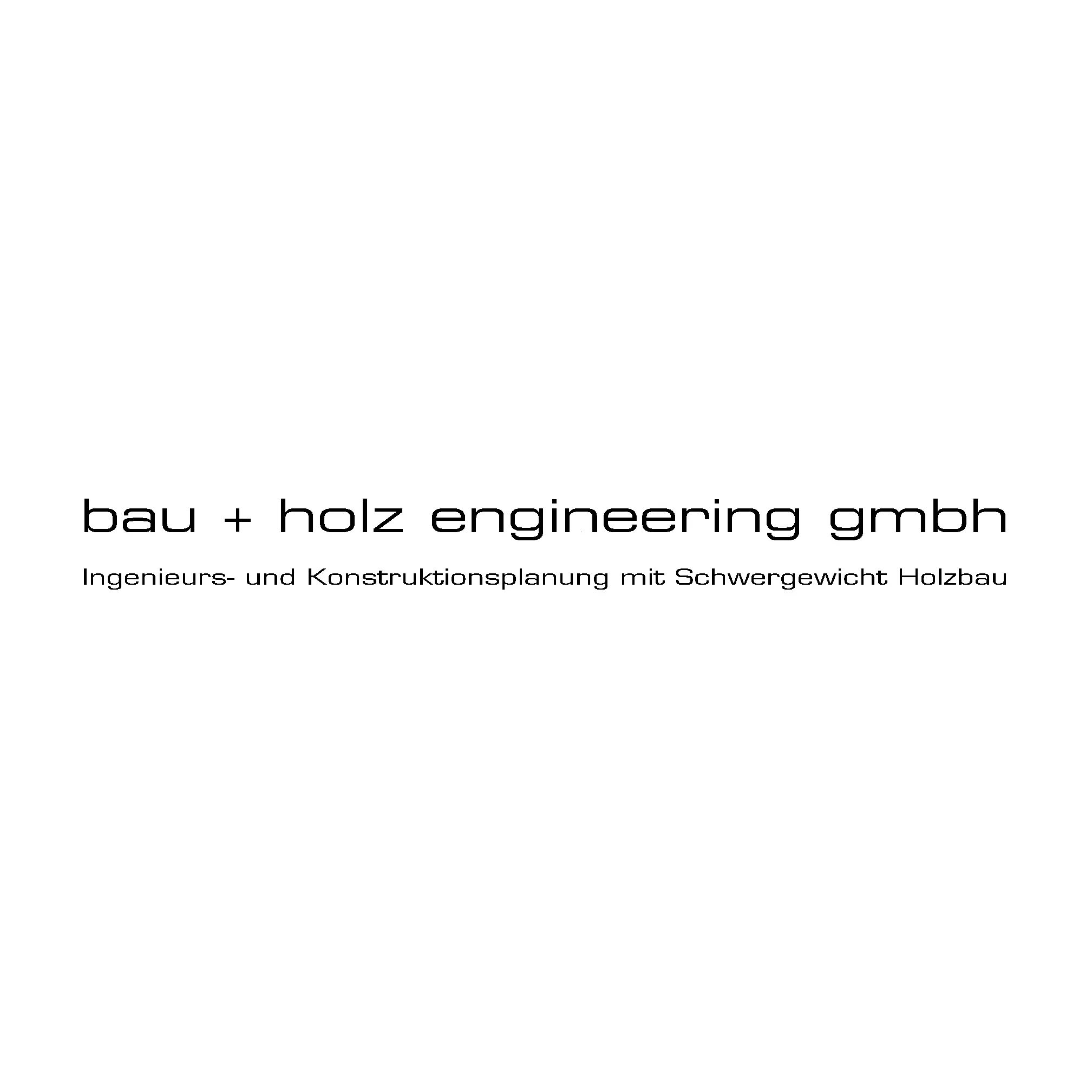 Logo Bau + Holz Engineering GmbH