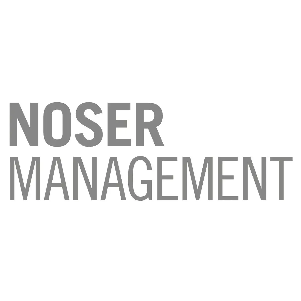 Noser Management AG
