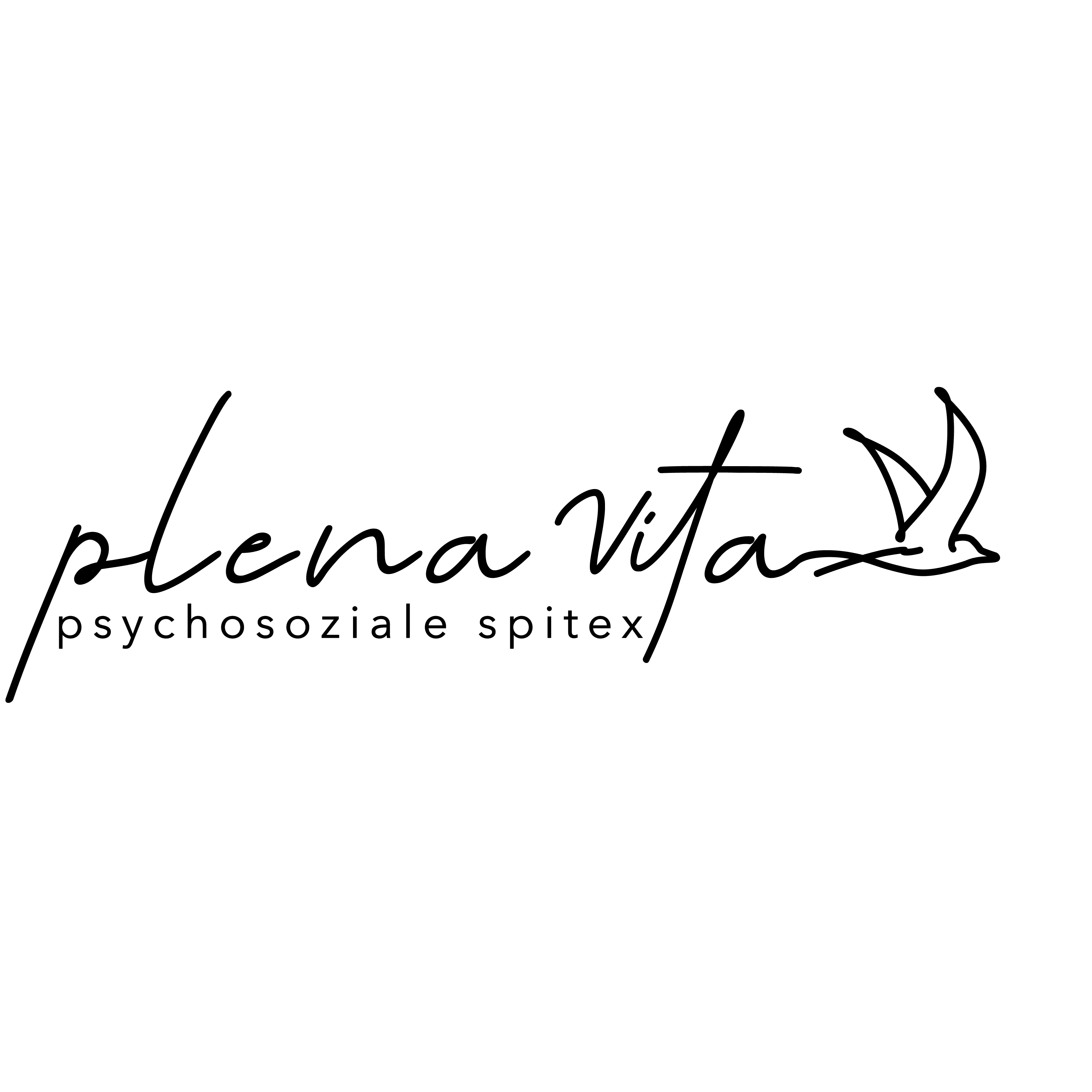 plena-vita GmbH
