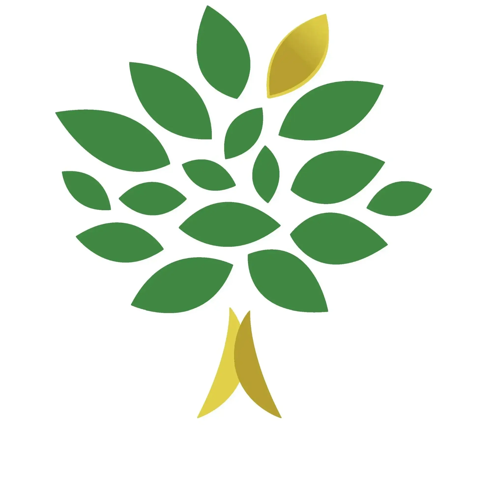 MANSARA Management AG