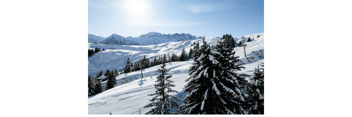 Work at Portes du Soleil Suisse SA