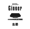 GINGER GmbH