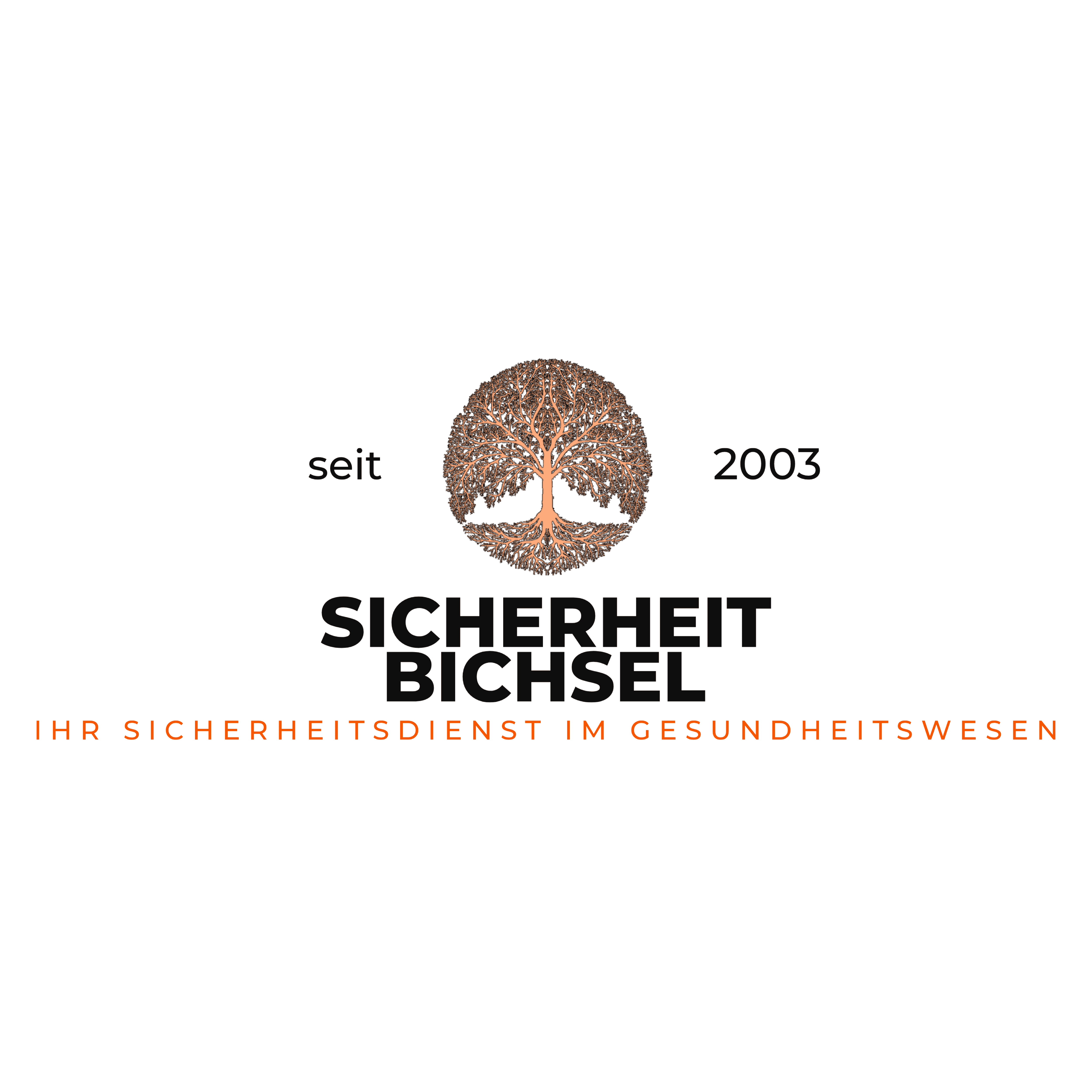 Sicherheit Bichsel GmbH