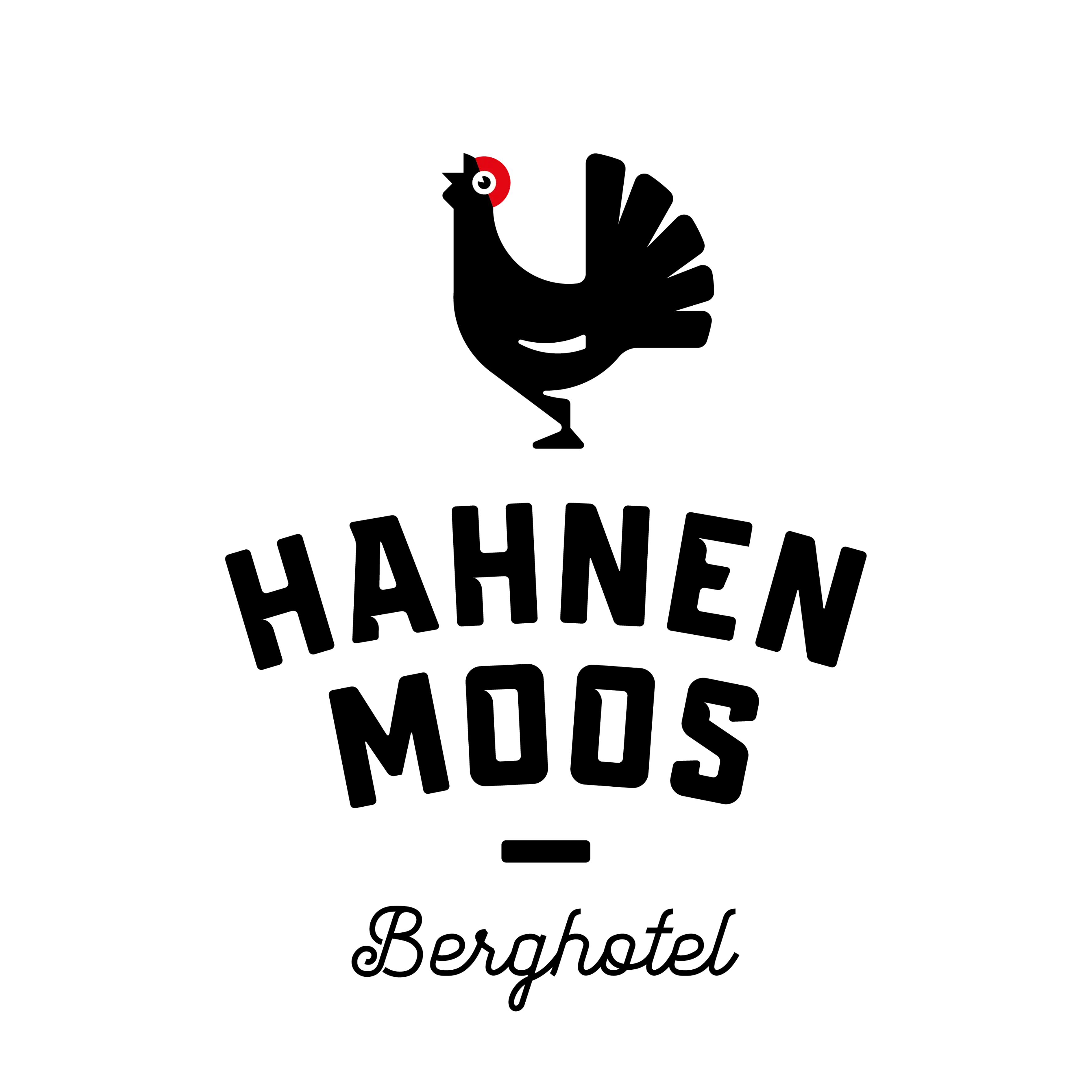Berghotel Hahnenmoospass AG